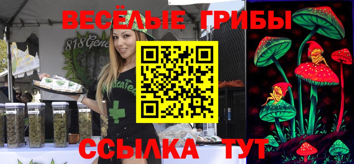 Галлюциногенные грибы MAGIC MUSHROOMS  Вход с VPN  Петровск 